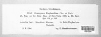 Uromyces euphorbiae image